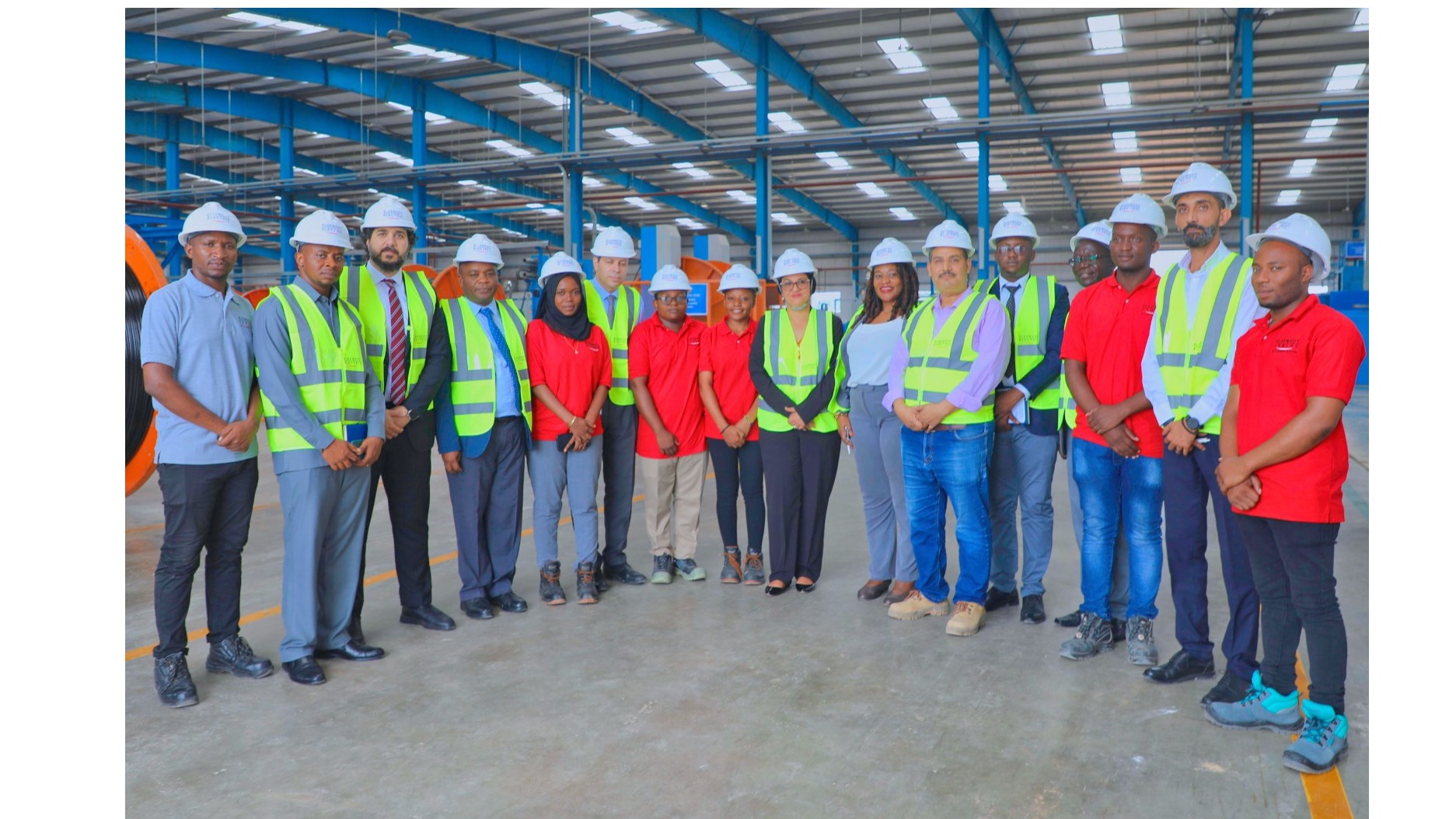ELSEWEDY ELECTRIC TO MAKE TANZANIA AS IT'S AFRICA INDUSTRIAL HUB